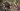 Loads of fresh content is coming Warhammer 40,000: Space Marine 2 in 2025